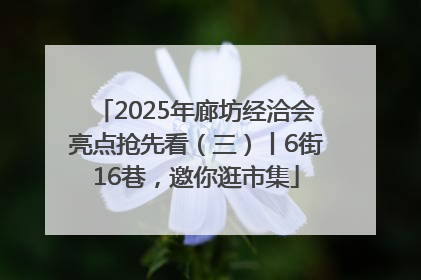 2025年廊坊经洽会亮点抢先看（三）丨6街16巷，邀你逛市集
