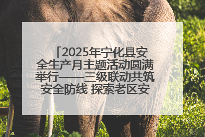 2025年宁化县安全生产月主题活动圆满举行——三级联动共筑安全防线 探索老区安全发展新路径