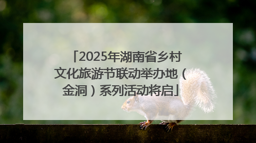2025年湖南省乡村文化旅游节联动举办地（金洞）系列活动将启