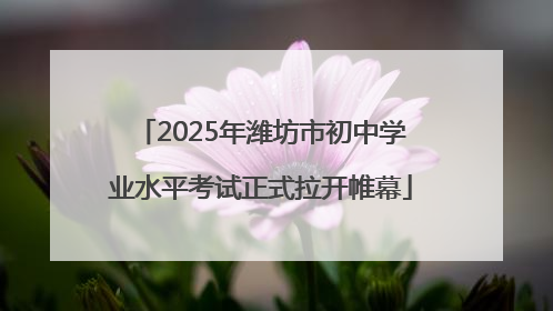 2025年潍坊市初中学业水平考试正式拉开帷幕