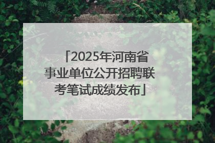 2025年河南省事业单位公开招聘联考笔试成绩发布