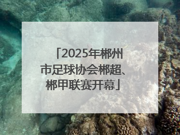 2025年郴州市足球协会郴超、郴甲联赛开幕