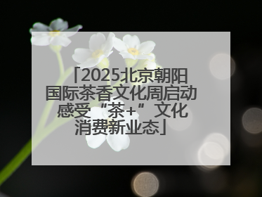 2025北京朝阳国际茶香文化周启动 感受“茶+”文化消费新业态