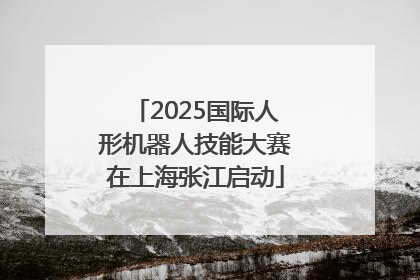 2025国际人形机器人技能大赛在上海张江启动