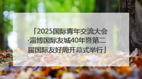 2025国际青年交流大会·淄博国际友城40年暨第二届国际友好周开幕式举行
