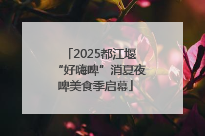 2025都江堰“好嗨啤”消夏夜啤美食季启幕