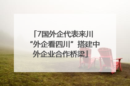 7国外企代表来川 “外企看四川”搭建中外企业合作桥梁