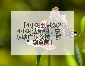 4小时到武汉24小时达新疆，京东助广东荔枝“鲜”到全国