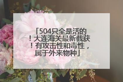 504只全是活的！大连海关最新截获！有攻击性和毒性，属于外来物种