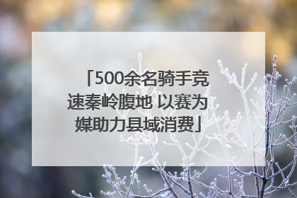 500余名骑手竞速秦岭腹地 以赛为媒助力县域消费