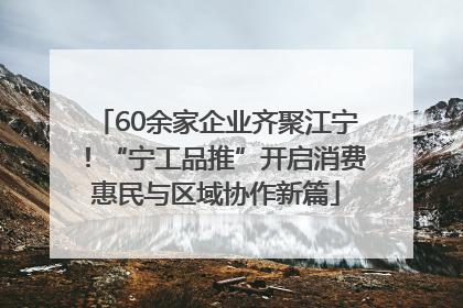 60余家企业齐聚江宁！“宁工品推”开启消费惠民与区域协作新篇