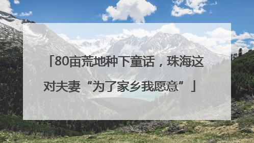 80亩荒地种下童话,珠海这对夫妻“为了家乡我愿意”