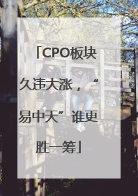 CPO板块久违大涨，“易中天”谁更胜一筹