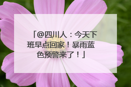 @四川人：今天下班早点回家！暴雨蓝色预警来了！