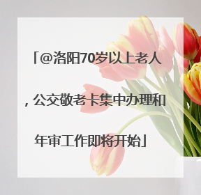 @洛阳70岁以上老人，公交敬老卡集中办理和年审工作即将开始