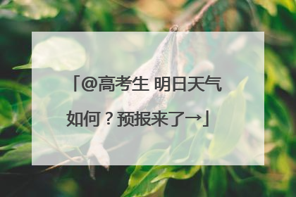@高考生 明日天气如何？预报来了→