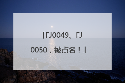 FJ0049、FJ0050，被点名！